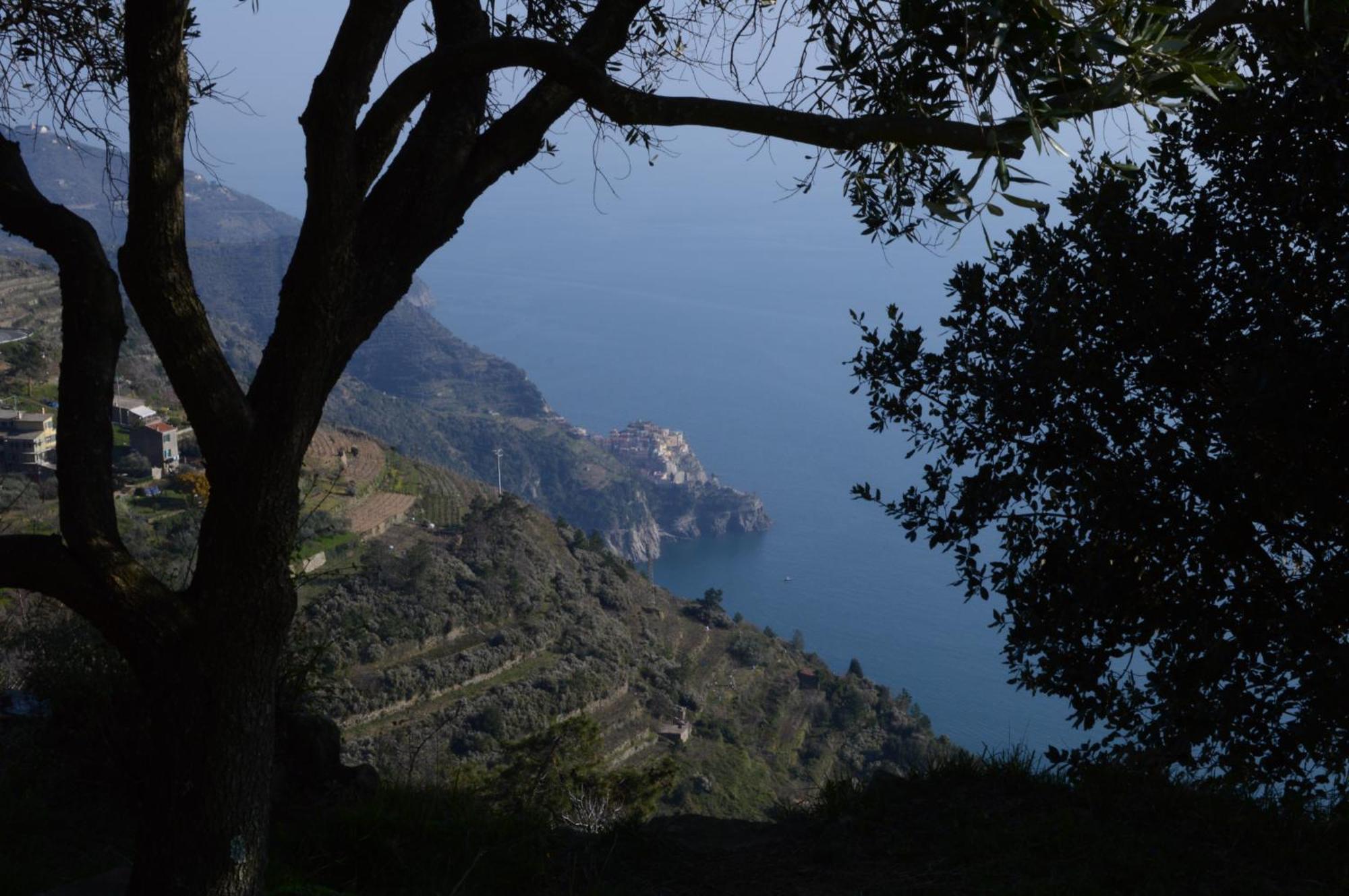 I Tre Grappoli Villa Corniglia Exterior photo
